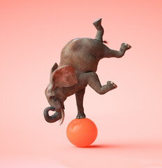 African elephant swinging on an orange ball. 3D illustration - obrazy, fototapety, plakaty