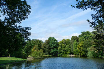 Obraz premium View to the lake shore with trees and blue sky