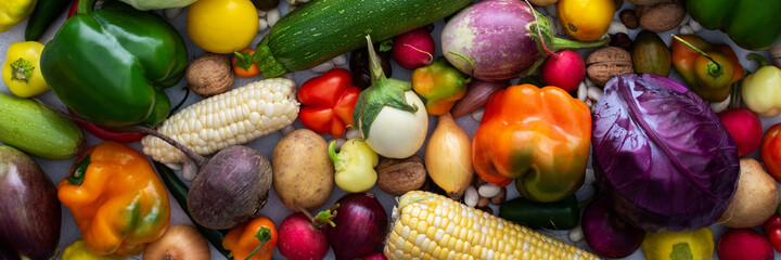 Background with fresh autumn vegetables, organic healthy farm products banner, top view