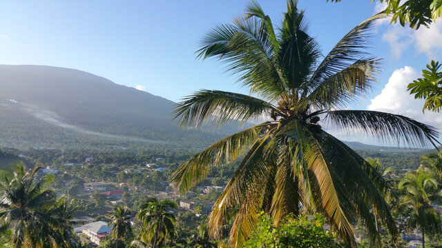 Panorama view to the palm and village on the background in Grand Comoros island. 