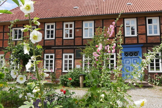 Malve und Backsteinhaus in Hitzacker - Elbe