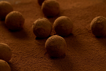 Truffles with cocoa, coconut and sesame seeds with chocolate with cocoa powder, delicious dessert under dramatic lighting