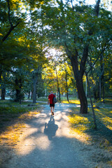 Fototapeta premium A man with a backpack walks through the city park. Beautiful large green trees with colorful leaves in summer with the sun shining through the foliage into the camera