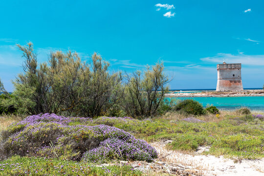Beautiful view of the Chianca Tower near Porto Cesareo in Italy