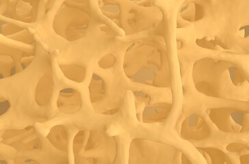 Fracture bones in osteoporosis - natural material front view 3d illustration