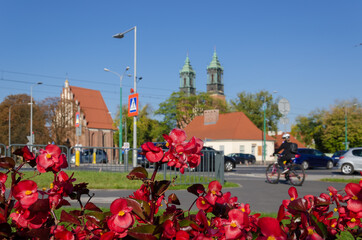 FLOWERS IN THE CITY - People, cars and buildings surrounded by colorful plants 

