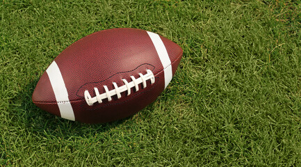 American football ball on green grass. Space for text