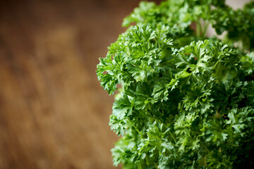  close up picture of parsley