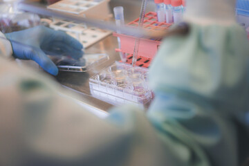 scientist working on human cell culture and tissue engineering in biosafety laboratory
