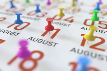 August 11 date and push pin on a calendar, 3D rendering