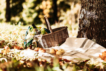 Basket,blanket,wine and glasses on yellow autumn leaves,next to a tree. A cozy autumn picnic in the...