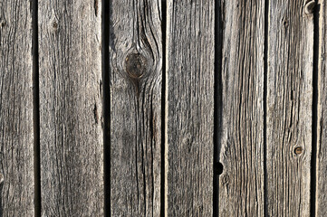 Texture of old wood