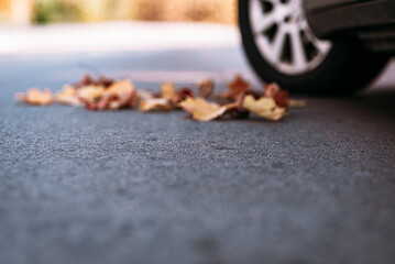 Car on asphalt road on autumn day at forest or park.Selective focus,copy space.Toned.