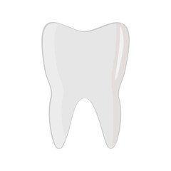 Vector illustration of a tooth isolated on white