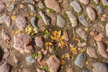 Textur mit Kopfsteinpflaster in Schleswig-Holstein