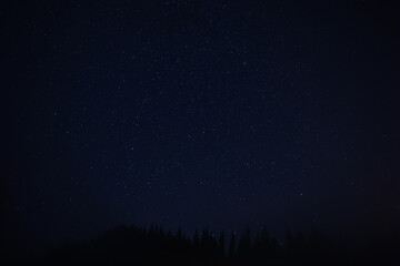 Naklejka premium Beautiful view of starry sky over dark forest at night