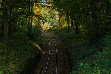 Eisenbahngleis einer Nahverhersbahn in einem herbstlichen Wald im Oktober