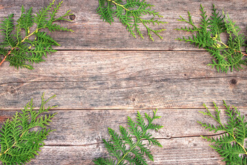 Branches of coniferous arborvitae trees are arranged in a circle on a wooden textured surface....