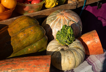 Market stall with pumpkins, autumn fresh vegitables, health care