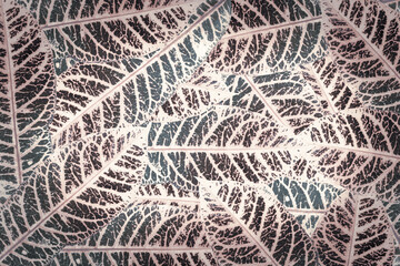 Green tropical leaves background advertising banner with copy space.