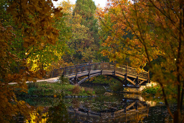 Brücke und Teich an einem Herbsttag -  Leipzig,  Johanna Park (Clara-Zetkin-Park)