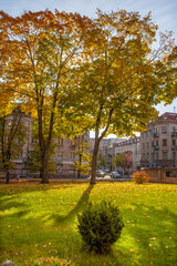 Wonderfully beautiful and sunny October day in Vilnius. The trees are adorned with autumn gold.