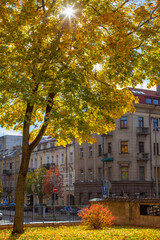 Wonderfully beautiful and sunny October day in Vilnius. The trees are adorned with autumn gold.