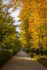 Wonderfully beautiful and sunny October day in Vilnius. The trees are adorned with autumn gold.