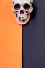 White skull on the black and orange vertical background. Halloween concept