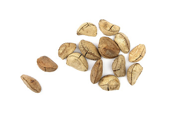 Brazil nuts or Bertholletia excelsa seeds isolated on white