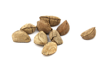 Brazil nuts or Bertholletia excelsa seeds isolated on white