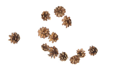 Group of pine cones isolated on white background