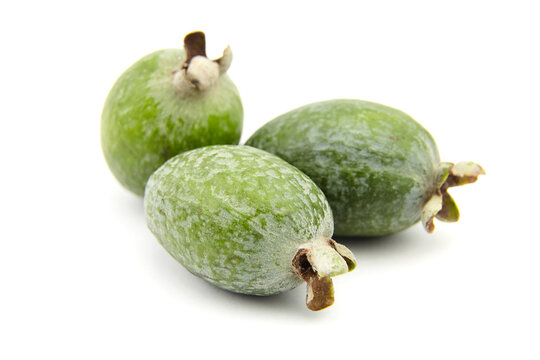 Feijoa acca fruit or pineapple guava isolated on white
