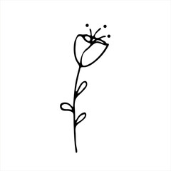 Hand-drawn flowers.Doodle style, sketch, drawing with floral floral elements, minimalism. Isolated. Vector illustration.