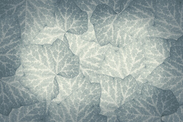 Green tropical leaves background advertising banner with copy space.