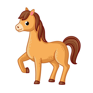 Horse stands on a white background with a raised hoof. Vector illustration with horse.
