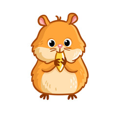 Cute yellow hamster stands and chews a nut on a white background.