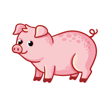 Cute pink boar stands on a white background. Vector illustration with farm animal in cartoon style.