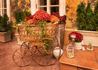 Chrysanthemums in a vintage straw pram. Decorative composition of autumn flowers in a wicker straw...