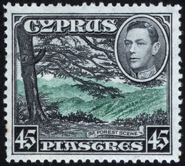 Postage stamps of the Cyprus. Stamp printed in the Cyprus. Stamp printed by Cyprus.