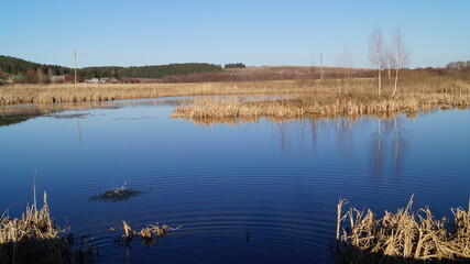 Речка,природа