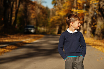 Young boy wear polo shirt and classic sweater pose in autumn background.