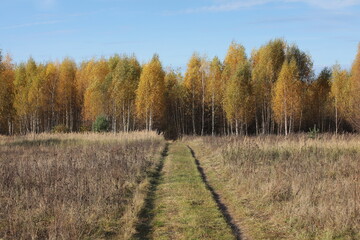 Path in autumn field