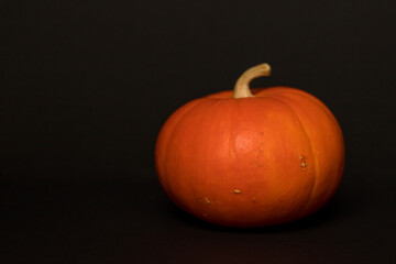 Pumpkin on a black background. Halloween Concept