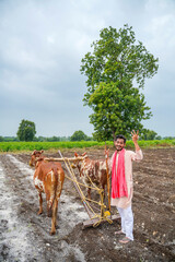 Indian farmer working with bull at his farm. - obrazy, fototapety, plakaty