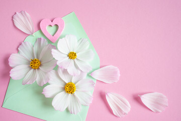 White flowers of cosmos, heart in a light green envelope on a pink background. Postcard for congratulations, space for text.