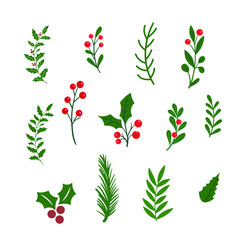 Christmas Tree Leaves Winter Green Leaf Designs Flat Vector.