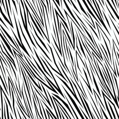 black and white zebra print. Vector seamless pattern for clothes or prints