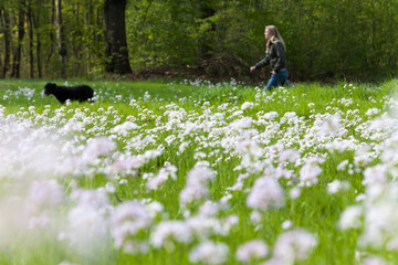 Frühlingsspaziergang