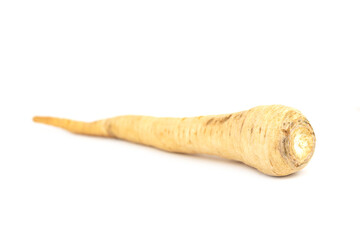 The parsey root isolated on the white background